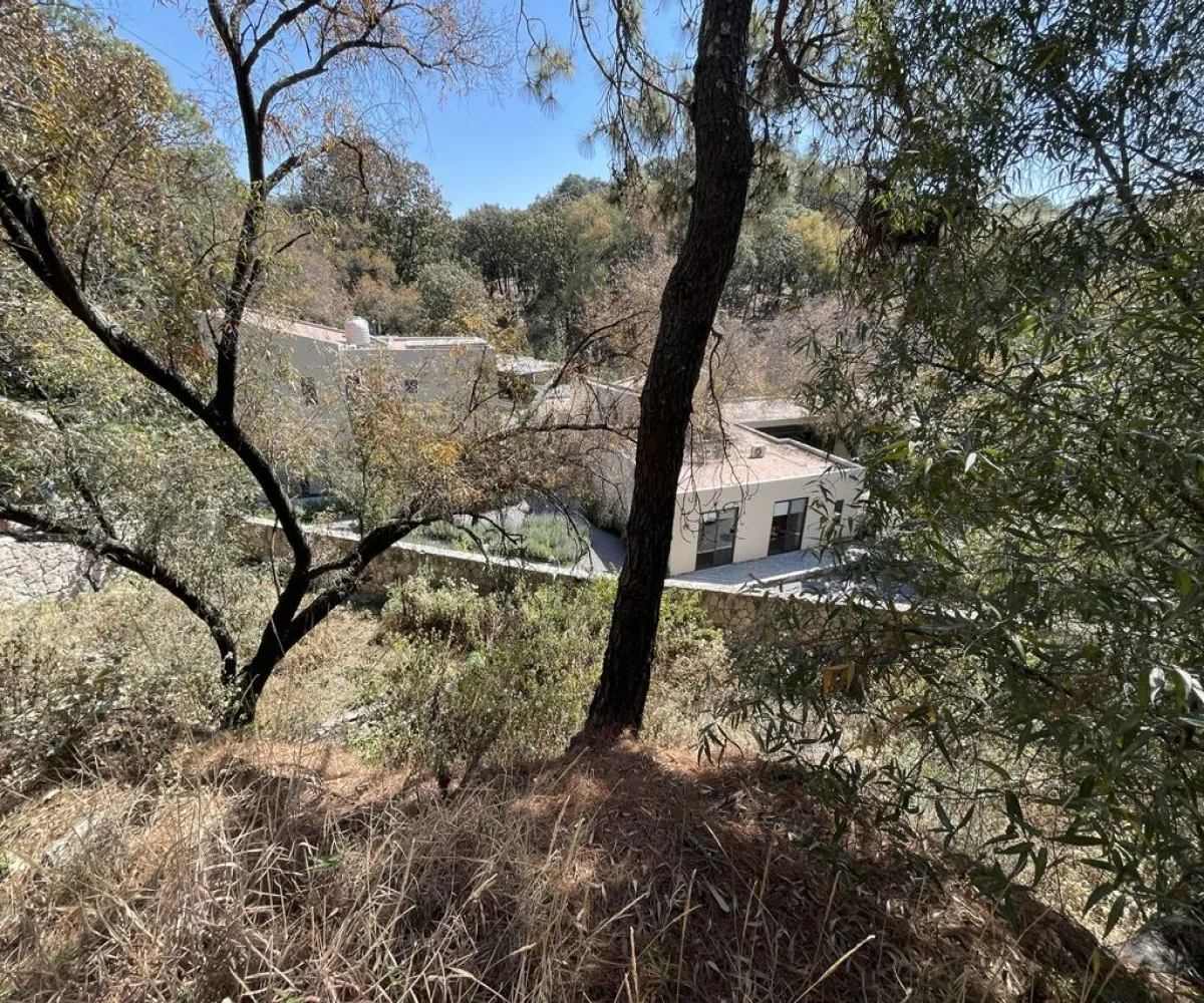 Terreno En Venta,Pinar de la Venta,Paseo de la Casuarina 20 18, México, Jalisco 45221,Paseo de la Casuarina,1,pADP7Nf Terreno En Venta,Pinar de la Venta,Paseo de la Casuarina 20 18, México, Jalisco 45221,Paseo de la Casuarina,1,pADP7Nf