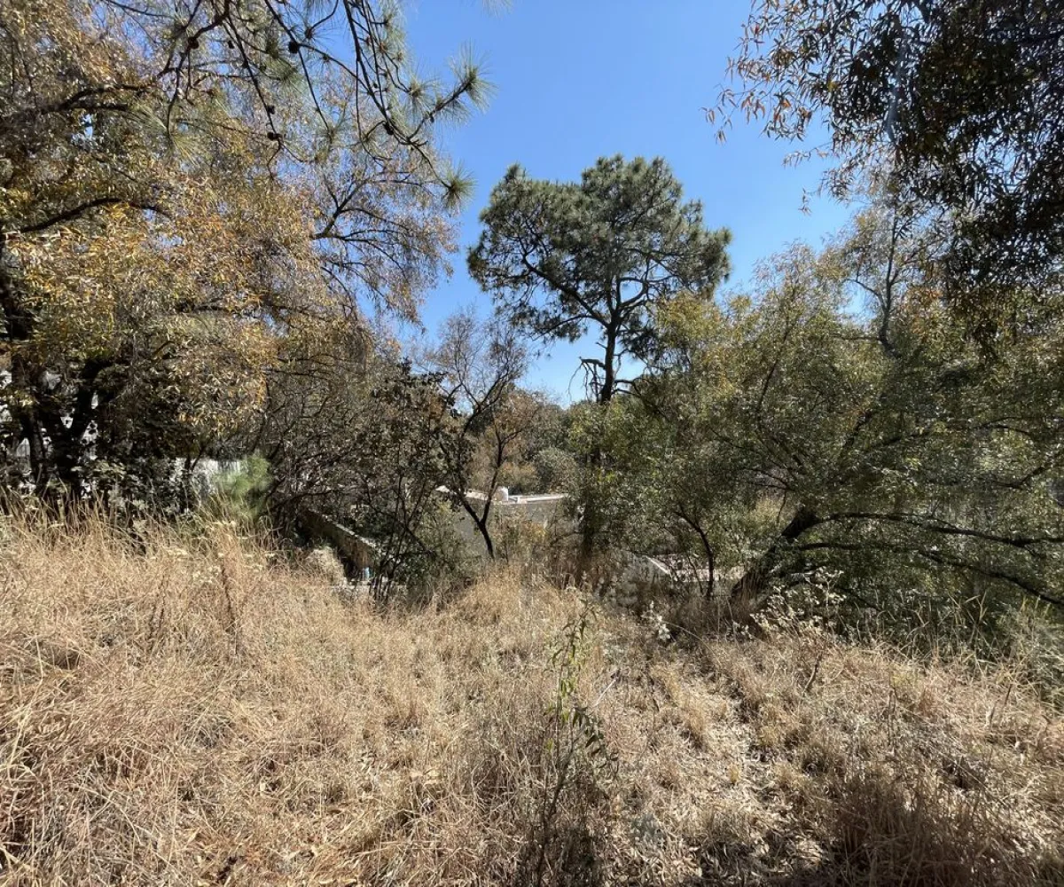 Terreno En Venta,Pinar de la Venta,Paseo de la Casuarina 20 18, México, Jalisco 45221,Paseo de la Casuarina,1,pADP7Nf Terreno En Venta,Pinar de la Venta,Paseo de la Casuarina 20 18, México, Jalisco 45221,Paseo de la Casuarina,1,pADP7Nf