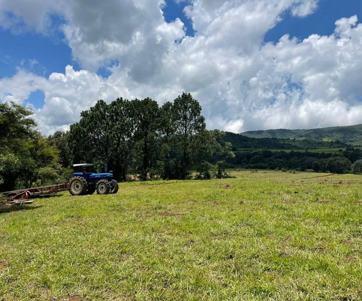 Terreno En PreVenta,Camino a San Gabriel 1, Tapalpa, Jalisco 49340,Camino a San Gabriel,pqChNqE