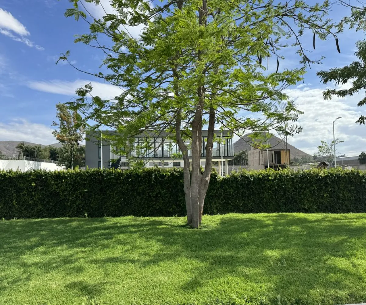 Terreno En Venta,San Agustín,Lago de Chapala 40 m8-L17, Tlajomulco de Zúñiga, Jalisco 45640,Lago de Chapala,p8A4AxH Terreno En Venta,San Agustín,Lago de Chapala 40 m8-L17, Tlajomulco de Zúñiga, Jalisco 45640,Lago de Chapala,p8A4AxH