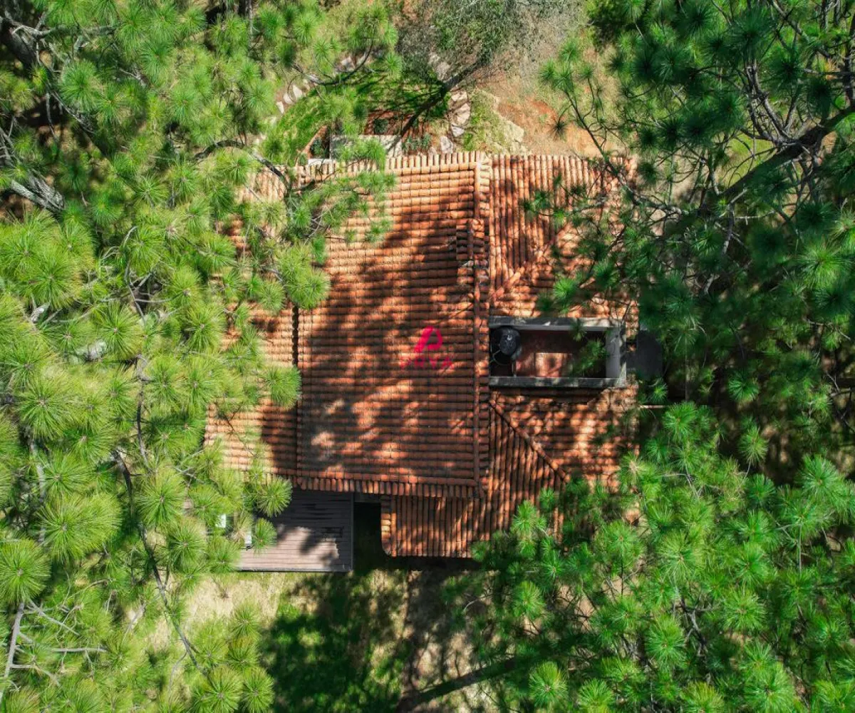 En Venta,Tapalpa ,Camino Rincón de los Pastores km #4.5, Tapalpa, Jalisco 49355, 2 Habitaciones,2 Baños,Camino Rincón de los Pastores,1,pfOBoYU En Venta,Tapalpa ,Camino Rincón de los Pastores km #4.5, Tapalpa, Jalisco 49355, 2 Habitaciones,2 Baños,Camino Rincón de los Pastores,1,pfOBoYU