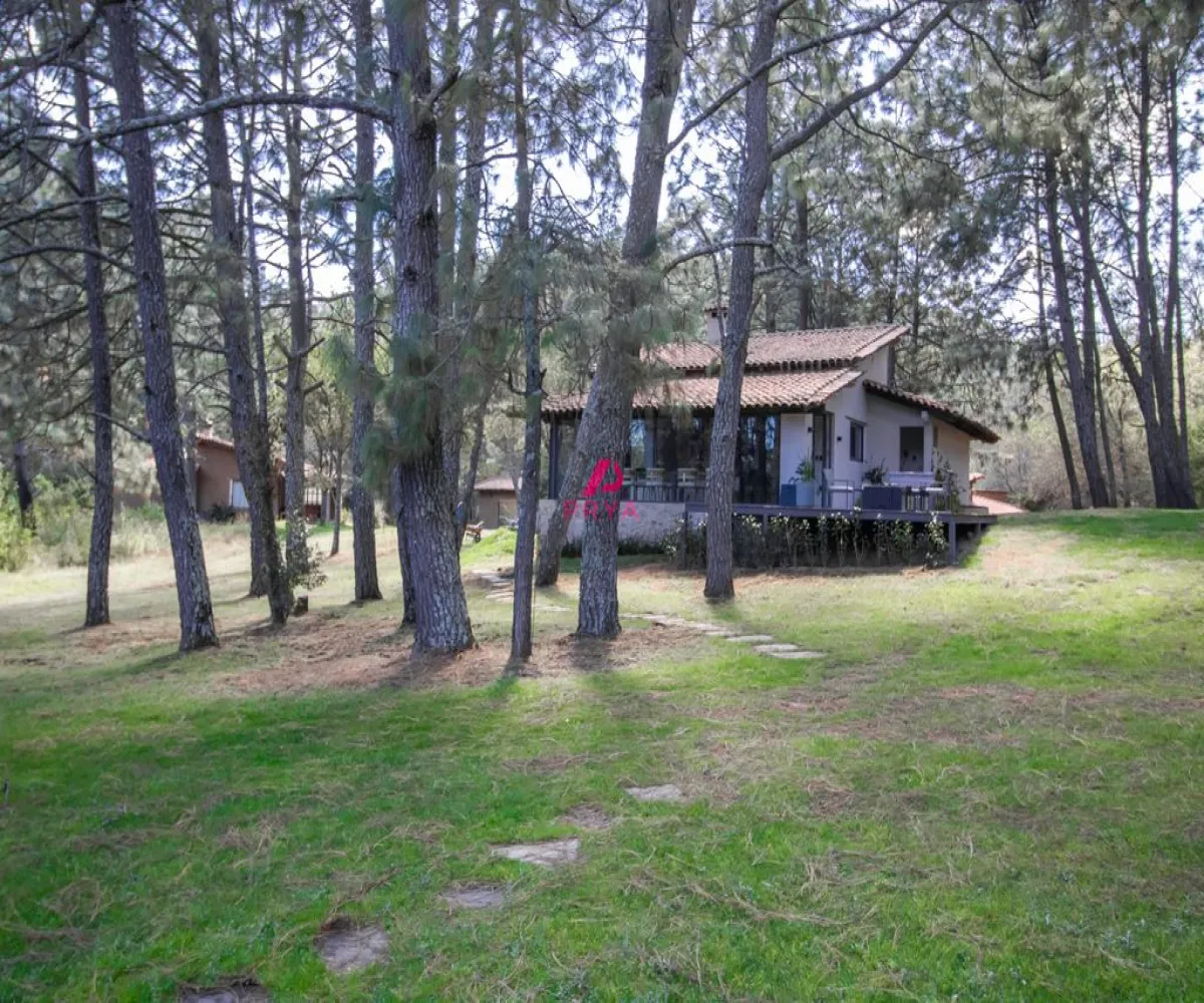 En Venta,Tapalpa ,Camino Rincón de los Pastores km #4.5, Tapalpa, Jalisco 49355, 2 Habitaciones,2 Baños,Camino Rincón de los Pastores,1,pfOBoYU En Venta,Tapalpa ,Camino Rincón de los Pastores km #4.5, Tapalpa, Jalisco 49355, 2 Habitaciones,2 Baños,Camino Rincón de los Pastores,1,pfOBoYU