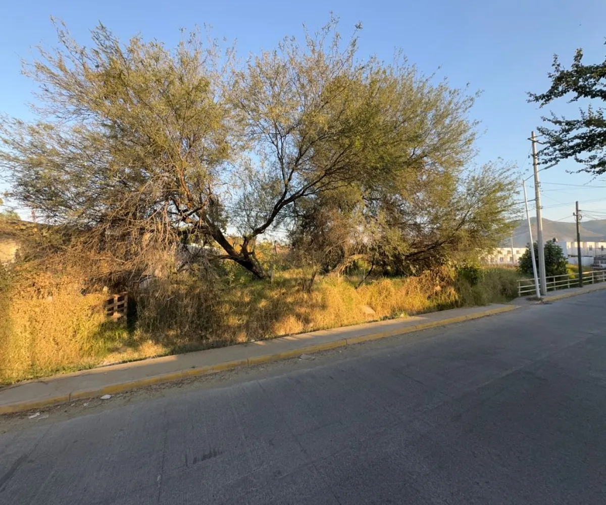 Terreno En Venta,San Agustin,Laguna de Chapala S/N, Tlajomulco de Zúñiga, Jalisco 45645,Laguna de Chapala,p48nsxB