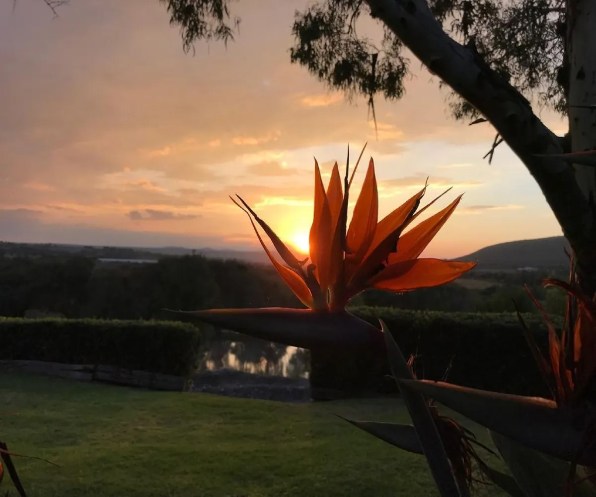 Casa En Venta,Sendero del Abeto 73, Huimilpan, Querétaro 76973, 4 Habitaciones,3 Baños,Sendero del Abeto,1,pMHQER1 Casa En Venta,Sendero del Abeto 73, Huimilpan, Querétaro 76973, 4 Habitaciones,3 Baños,Sendero del Abeto,1,pMHQER1