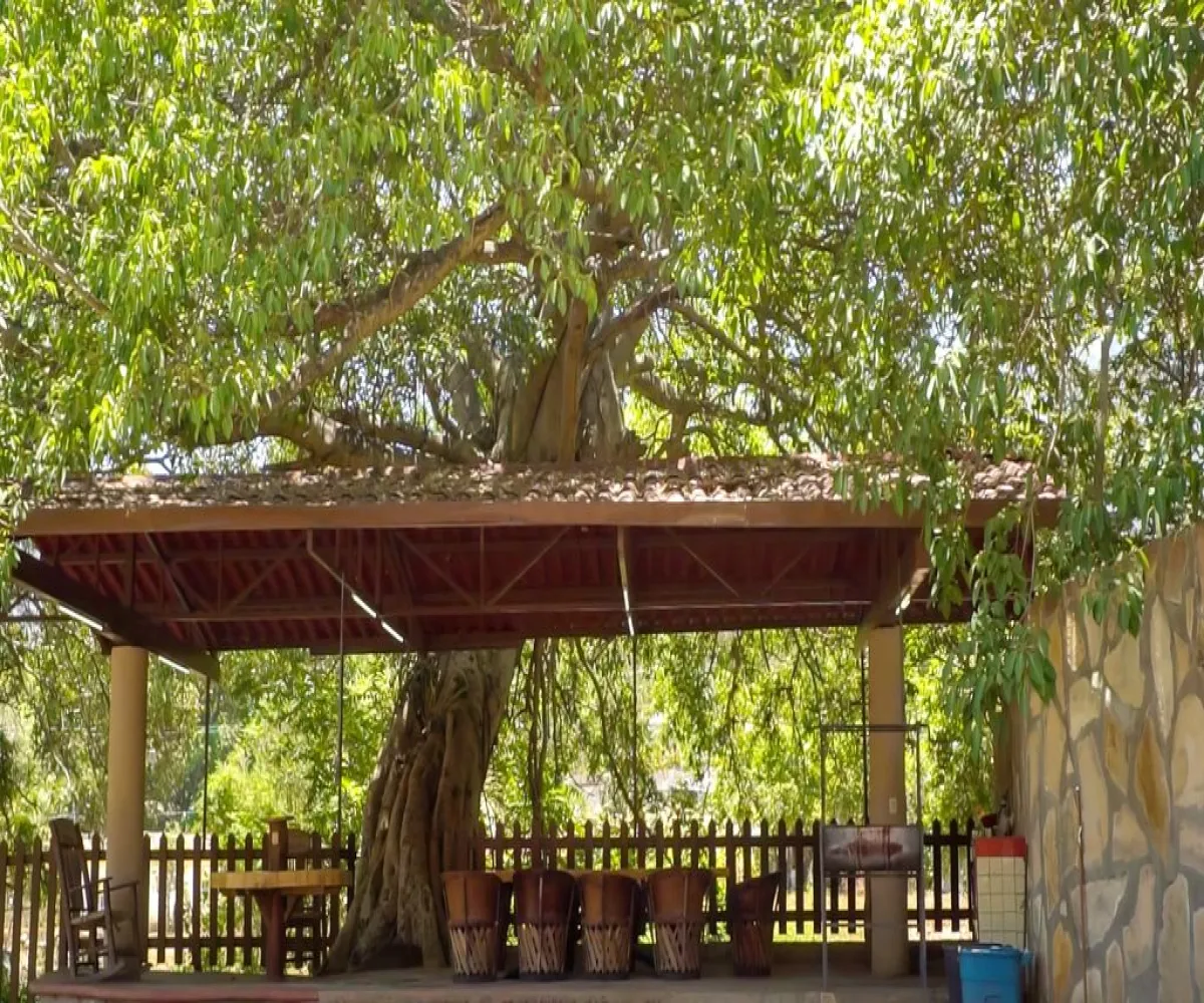 Casa En Venta,Ahuacapan,Privada 100, Autlán de Navarro, Jalisco 48920, 5 Habitaciones,5 Baños,Privada,2,pC9Jaan