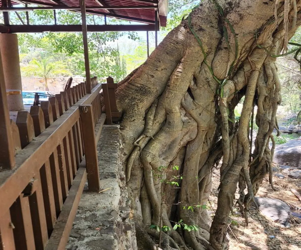 Casa En Venta,Ahuacapan,Privada 100, Autlán de Navarro, Jalisco 48920, 5 Habitaciones,5 Baños,Privada,2,pC9Jaan