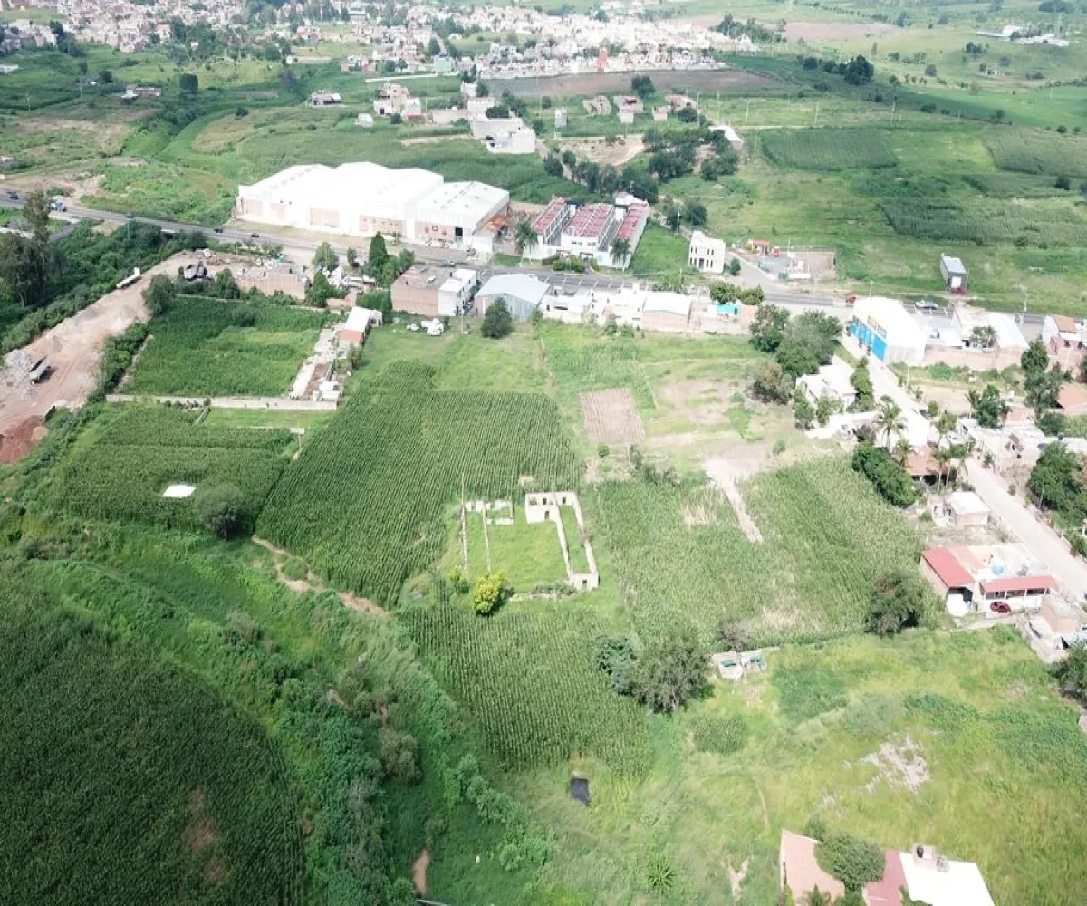 Terreno En Venta,Los Tepetates,Carretera a Tepatitlán, km8 S/N, Zapotlanejo, Jalisco 45430,Carretera a Tepatitlán, km8,p00UfGr