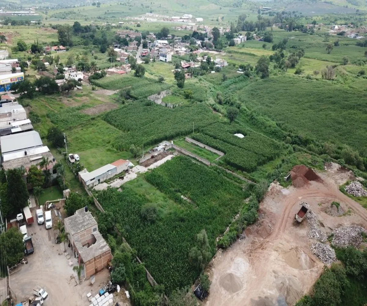 Terreno En Venta,Los Tepetates,Carretera a Tepatitlán, km8 S/N, Zapotlanejo, Jalisco 45430,Carretera a Tepatitlán, km8,p00UfGr