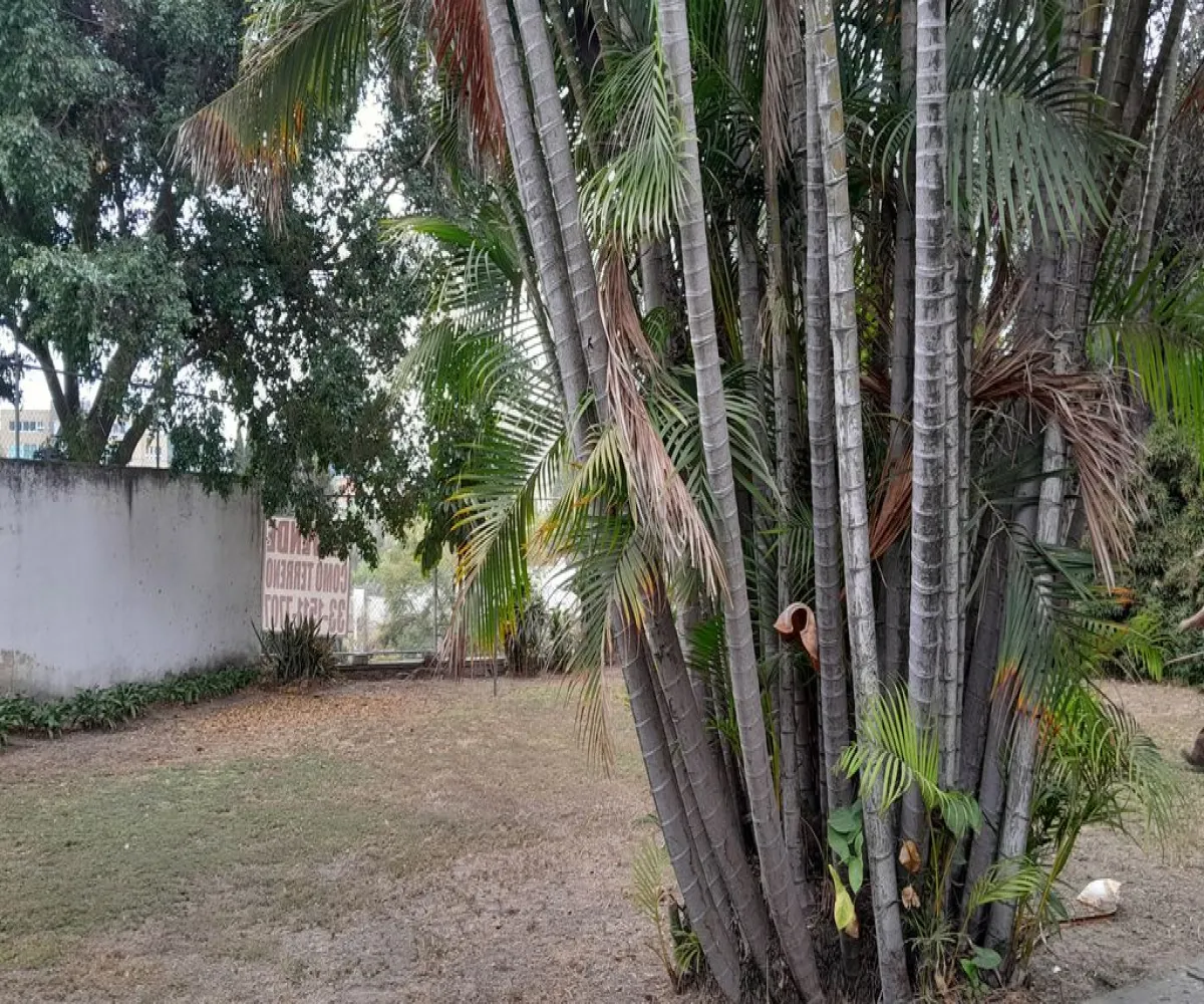 Casa En Venta,Lomas Del Valle,Lomas Altas S/N, Zapopan, Jalisco 45129, 4 Habitaciones,4 Baños,Lomas Altas ,1,pIYcjak Casa En Venta,Lomas Del Valle,Lomas Altas S/N, Zapopan, Jalisco 45129, 4 Habitaciones,4 Baños,Lomas Altas ,1,pIYcjak