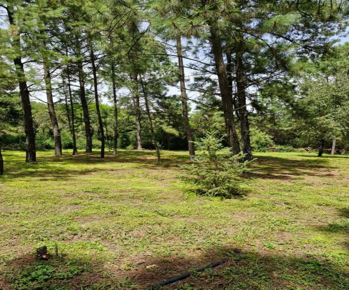 Terreno En Venta,Hacienda San Francisco,Paseo de la Frscura 88, Tapalpa, Jalisco 49340,Paseo de la Frscura,psQivTP Terreno En Venta,Hacienda San Francisco,Paseo de la Frscura 88, Tapalpa, Jalisco 49340,Paseo de la Frscura,psQivTP