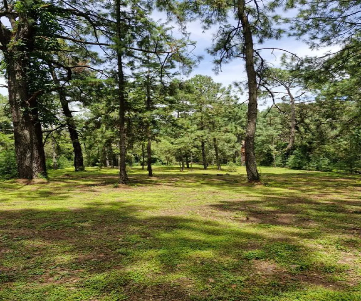 Terreno En Venta,Hacienda San Francisco,Paseo de la Frscura 88, Tapalpa, Jalisco 49340,Paseo de la Frscura,psQivTP Terreno En Venta,Hacienda San Francisco,Paseo de la Frscura 88, Tapalpa, Jalisco 49340,Paseo de la Frscura,psQivTP