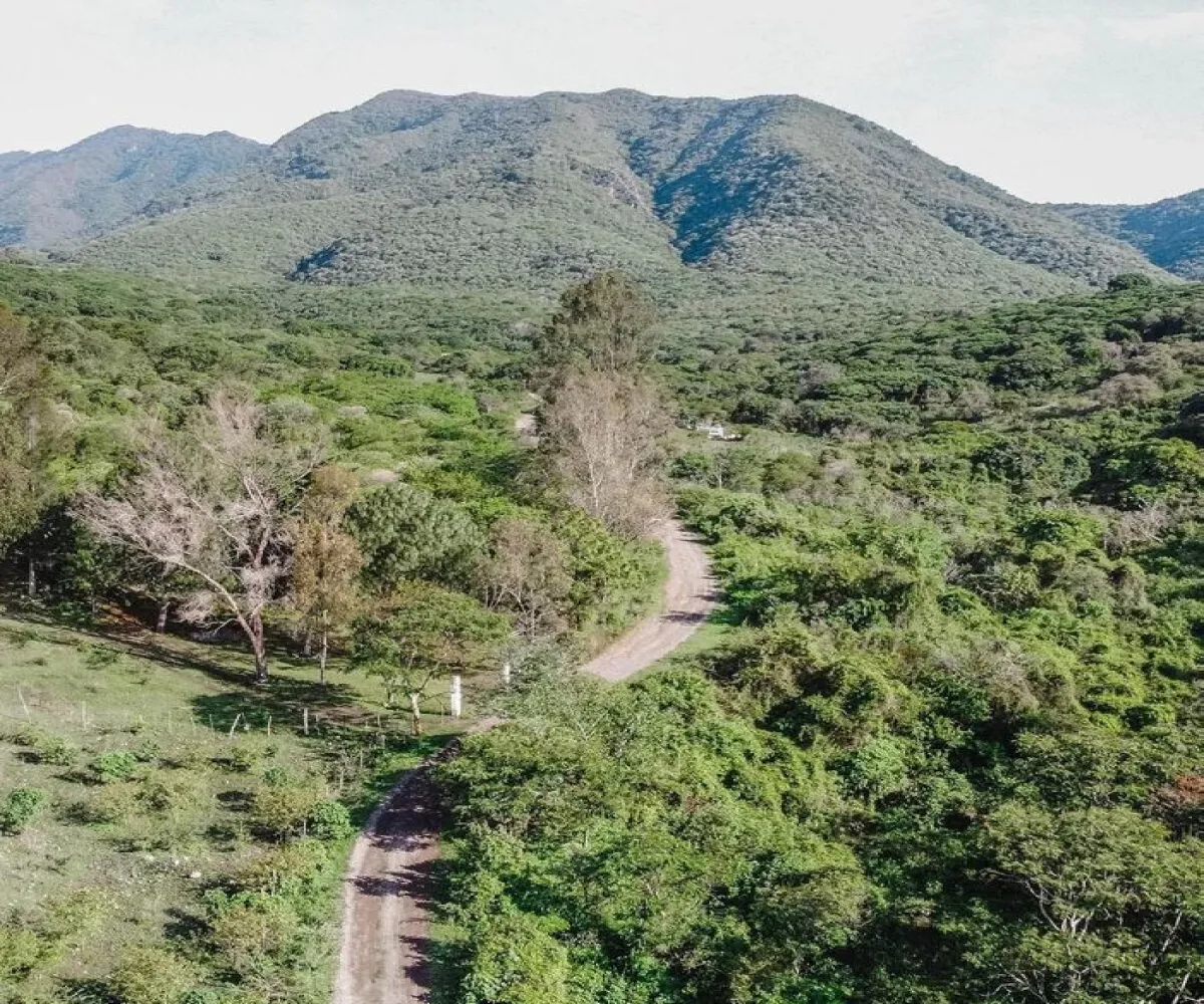 Terreno En Venta,Fraccionamiento Brisas de Chapala,Brisas del Lago 46, Chapala, Jalisco 45900,Brisas del Lago,pTkOJjy Terreno En Venta,Fraccionamiento Brisas de Chapala,Brisas del Lago 46, Chapala, Jalisco 45900,Brisas del Lago,pTkOJjy