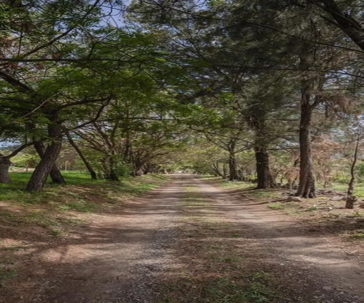 Terreno En Venta,Fraccionamiento Brisas de Chapala,Brisas del Lago 46, Chapala, Jalisco 45900,Brisas del Lago,pTkOJjy Terreno En Venta,Fraccionamiento Brisas de Chapala,Brisas del Lago 46, Chapala, Jalisco 45900,Brisas del Lago,pTkOJjy