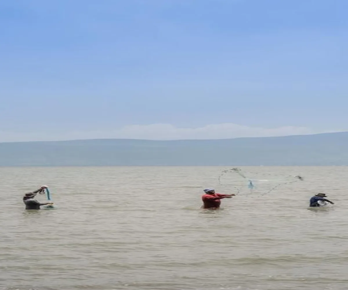 Terreno En Venta,Fraccionamiento Brisas de Chapala,Brisas del Lago 46, Chapala, Jalisco 45900,Brisas del Lago,pTkOJjy Terreno En Venta,Fraccionamiento Brisas de Chapala,Brisas del Lago 46, Chapala, Jalisco 45900,Brisas del Lago,pTkOJjy