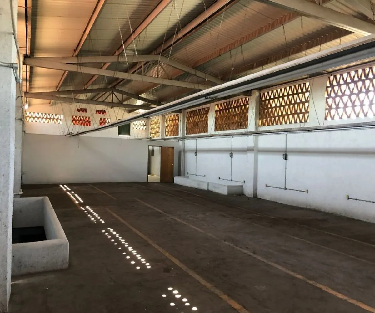 Bodega En Renta,Colonia Oblatos,Calle Damián Carmona 1784, Guadalajara, Jalisco 44700,3 Baños,Calle Damián Carmona,1,pauueCH