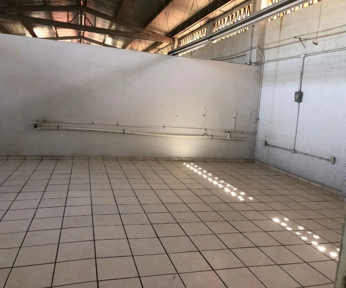 Bodega En Renta,Colonia Oblatos,Calle Damián Carmona 1784, Guadalajara, Jalisco 44700,3 Baños,Calle Damián Carmona,1,pauueCH