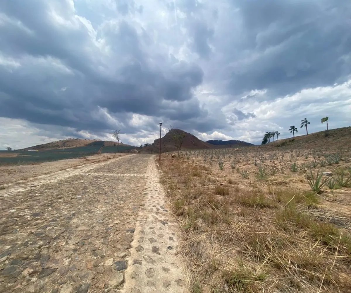 Terreno En Venta,Barrio San Jose,Hacienda la laja S/N, El Arenal, Jalisco 45350,Hacienda la laja ,pQ7yUxY Terreno En Venta,Barrio San Jose,Hacienda la laja S/N, El Arenal, Jalisco 45350,Hacienda la laja ,pQ7yUxY