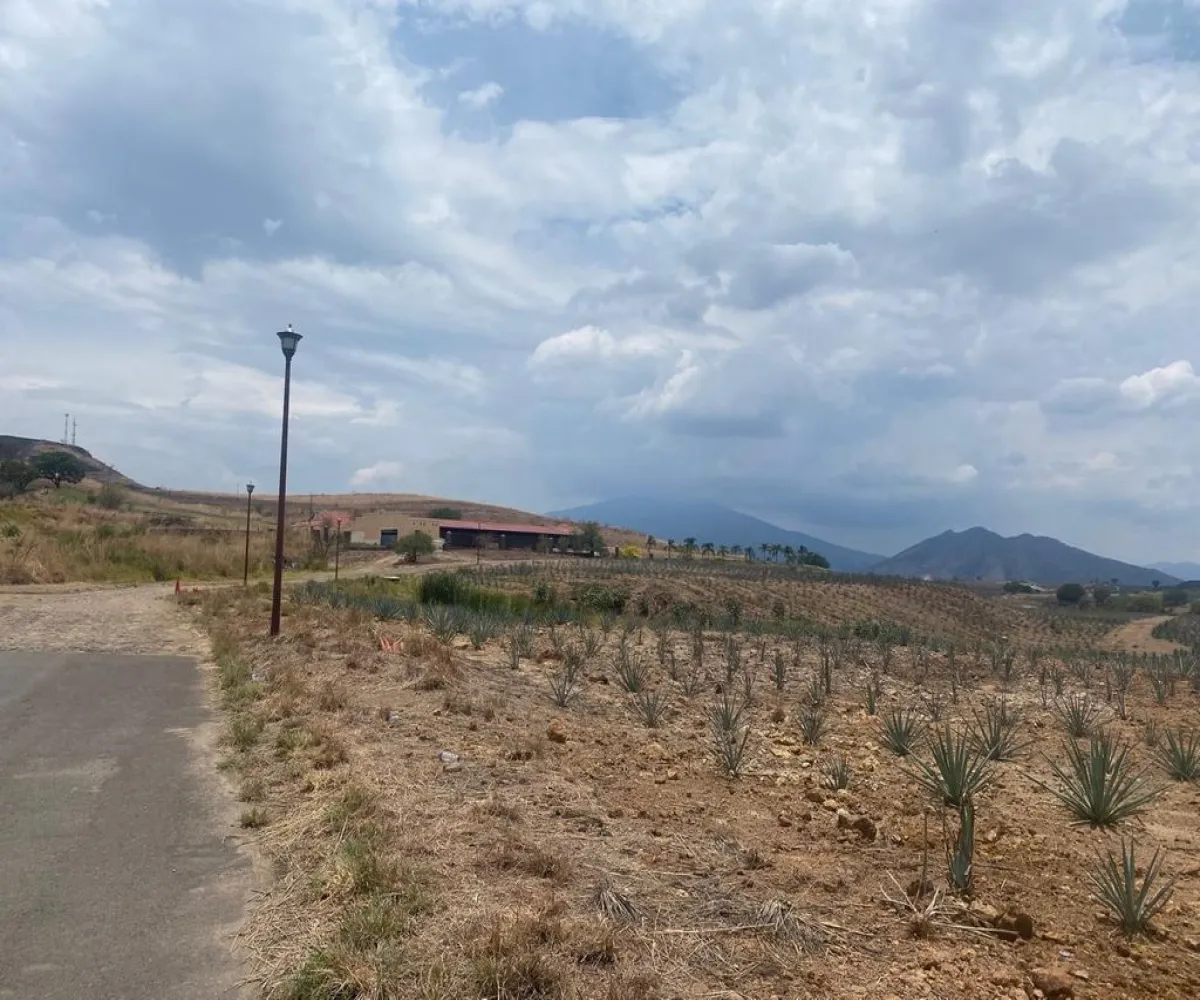 Terreno En Venta,Barrio San Jose,Hacienda la laja S/N, El Arenal, Jalisco 45350,Hacienda la laja ,pQ7yUxY Terreno En Venta,Barrio San Jose,Hacienda la laja S/N, El Arenal, Jalisco 45350,Hacienda la laja ,pQ7yUxY