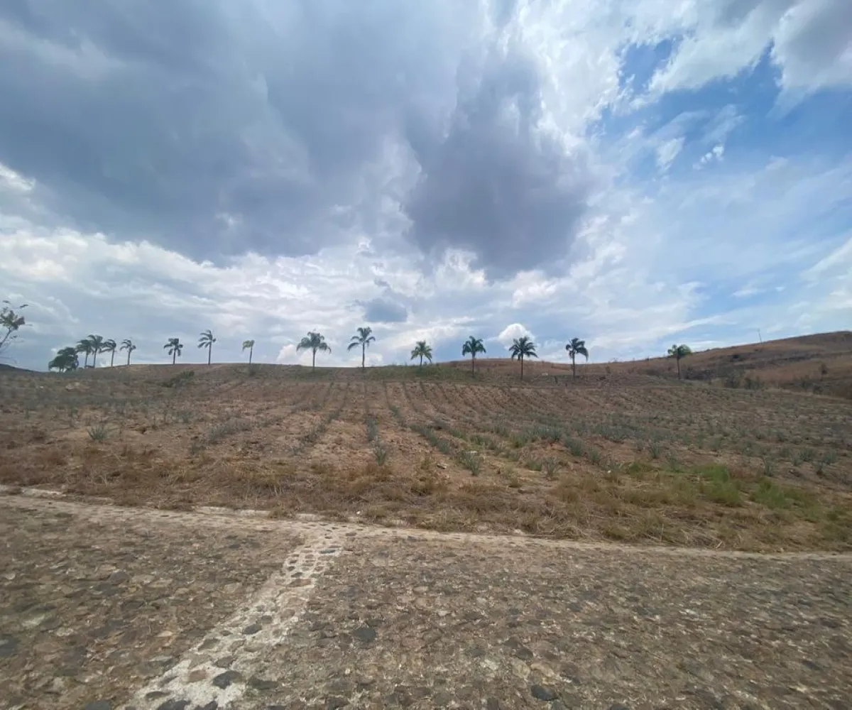 Terreno En Venta,Barrio San Jose,Hacienda la laja S/N, El Arenal, Jalisco 45350,Hacienda la laja ,pQ7yUxY Terreno En Venta,Barrio San Jose,Hacienda la laja S/N, El Arenal, Jalisco 45350,Hacienda la laja ,pQ7yUxY