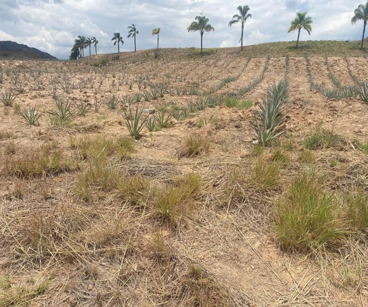 Terreno En Venta,Barrio San Jose,Hacienda la laja S/N, El Arenal, Jalisco 45350,Hacienda la laja ,pQ7yUxY Terreno En Venta,Barrio San Jose,Hacienda la laja S/N, El Arenal, Jalisco 45350,Hacienda la laja ,pQ7yUxY