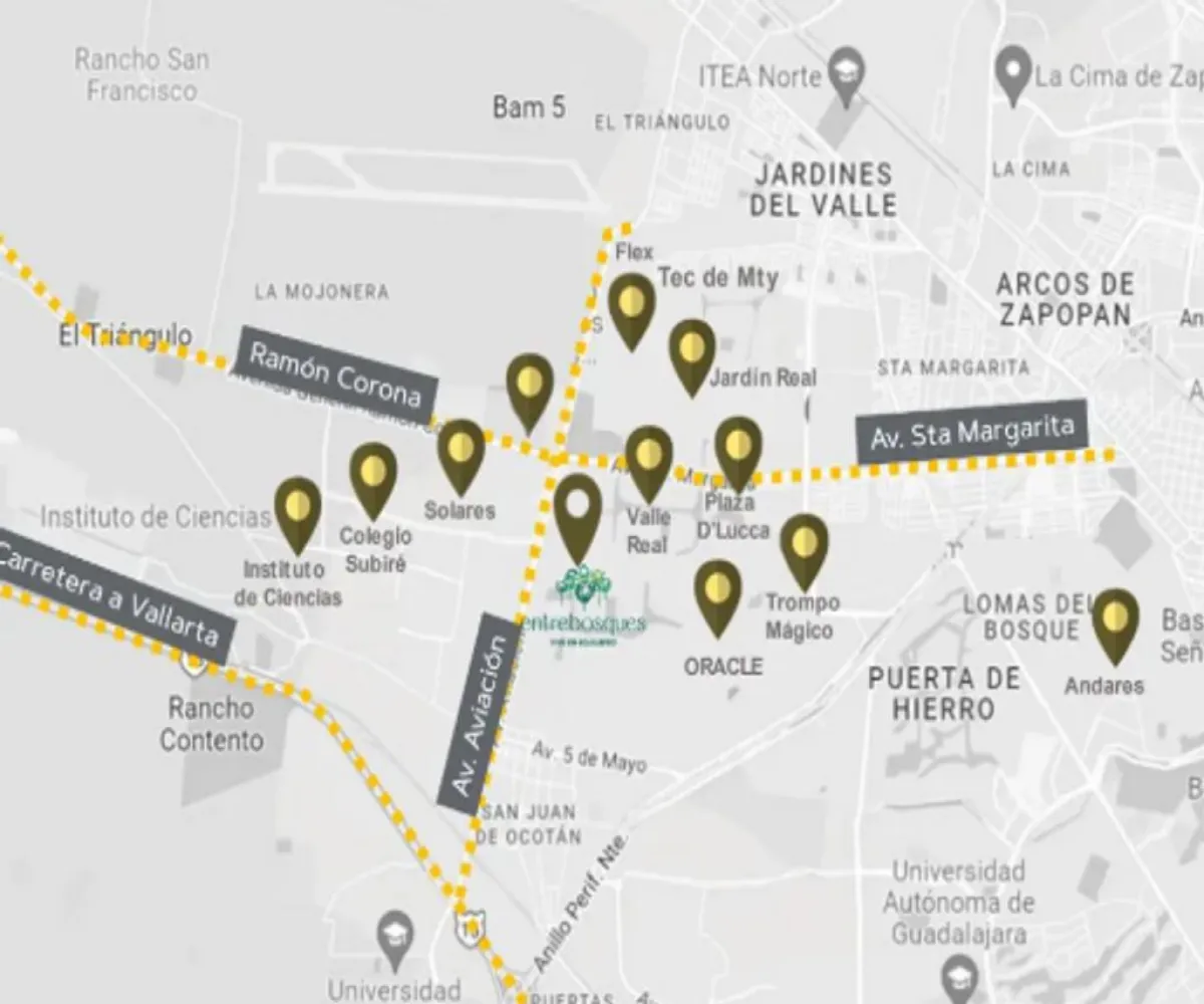 Local En Venta,Valle Real,Avenida Aviación 4500 L-38, Zapopan, Jalisco 45138,Avenida Aviación,1,pHlXVOw