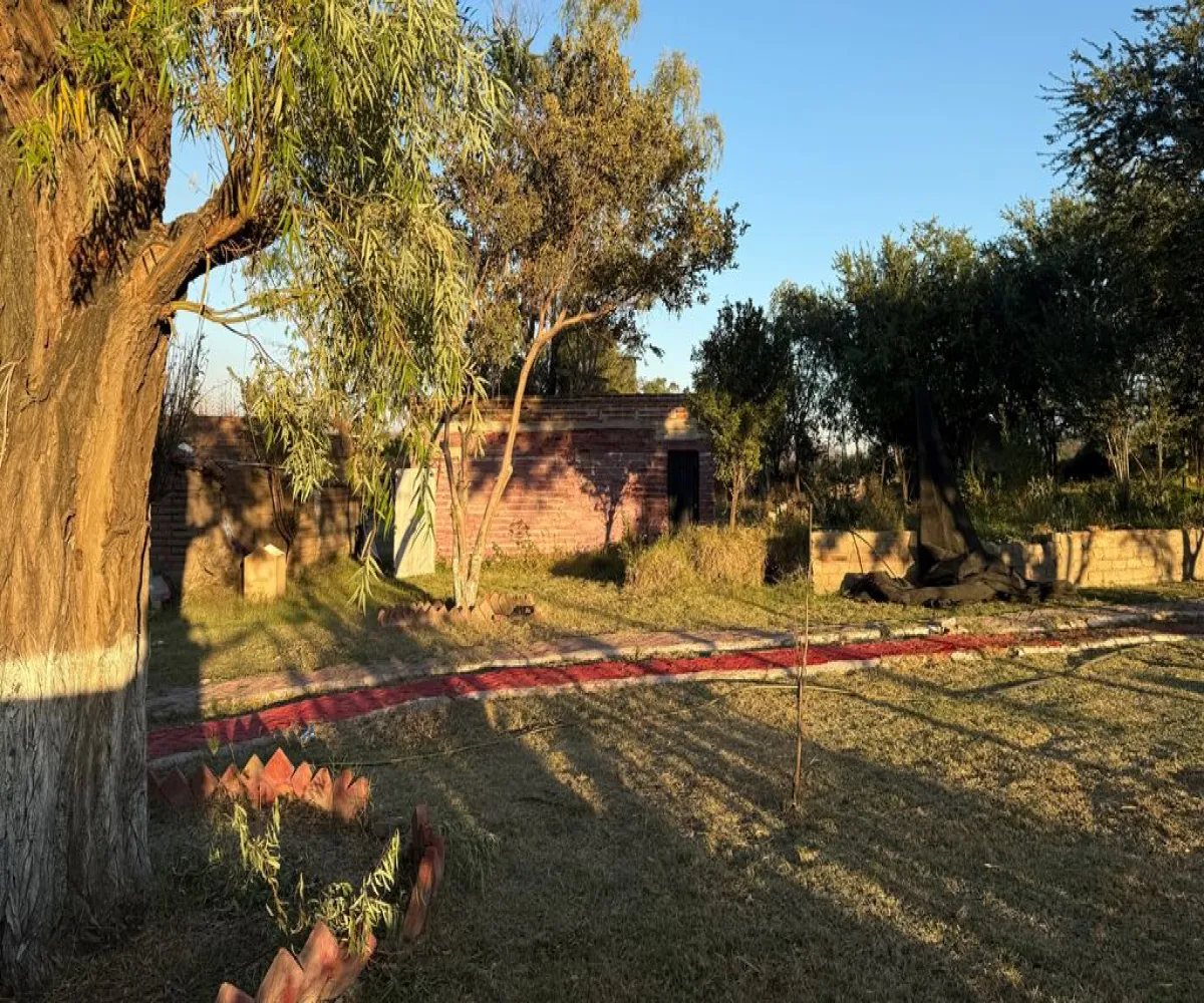 Terreno En Venta,Camino a la Cañada,Camino a La Providencia S/N, Tlajomulco de Zúñiga, Jalisco 45660,Camino a La Providencia,pnvEWwD Terreno En Venta,Camino a la Cañada,Camino a La Providencia S/N, Tlajomulco de Zúñiga, Jalisco 45660,Camino a La Providencia,pnvEWwD