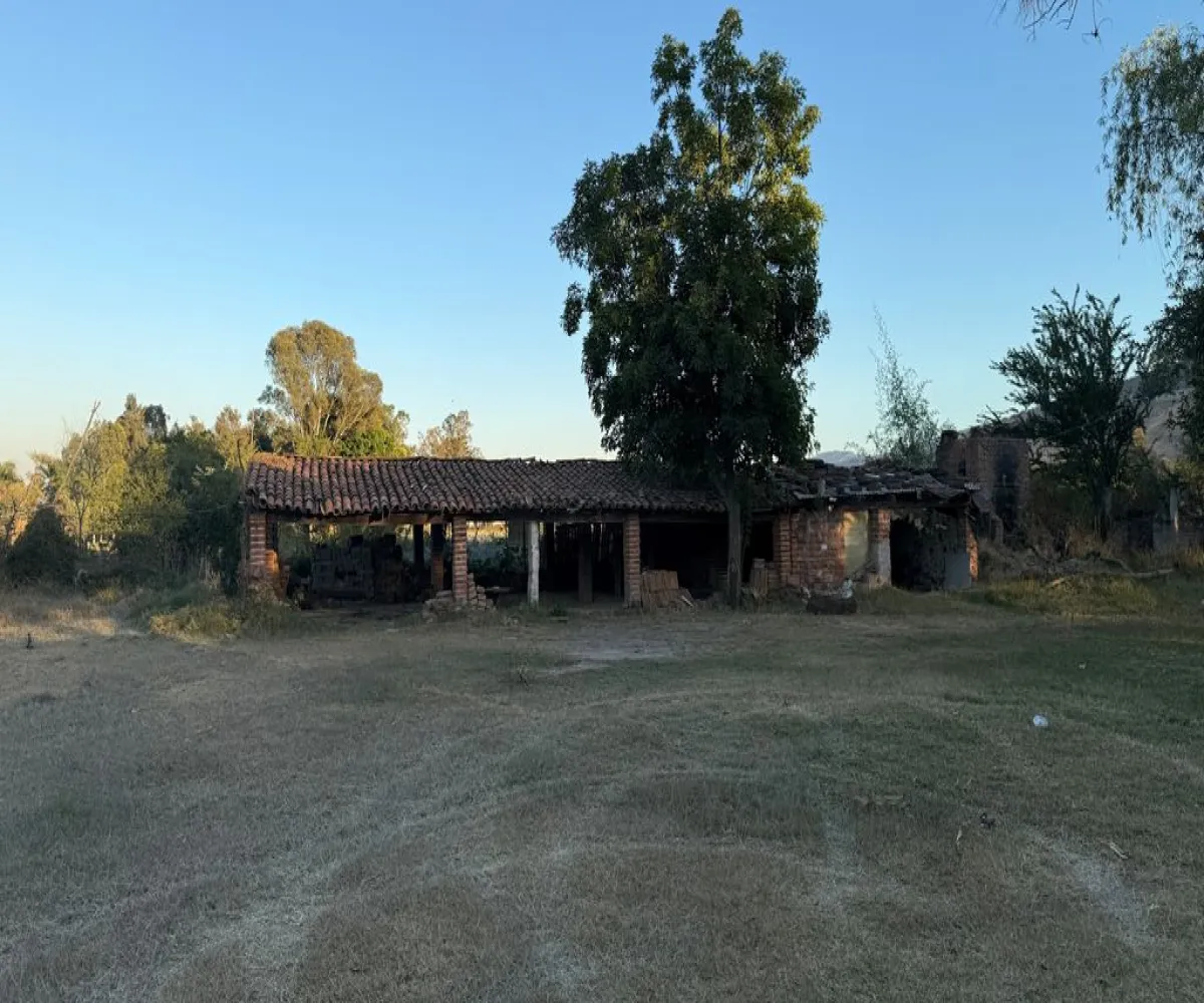 Terreno En Venta,Camino a la Cañada,Camino a La Providencia S/N, Tlajomulco de Zúñiga, Jalisco 45660,Camino a La Providencia,pnvEWwD Terreno En Venta,Camino a la Cañada,Camino a La Providencia S/N, Tlajomulco de Zúñiga, Jalisco 45660,Camino a La Providencia,pnvEWwD