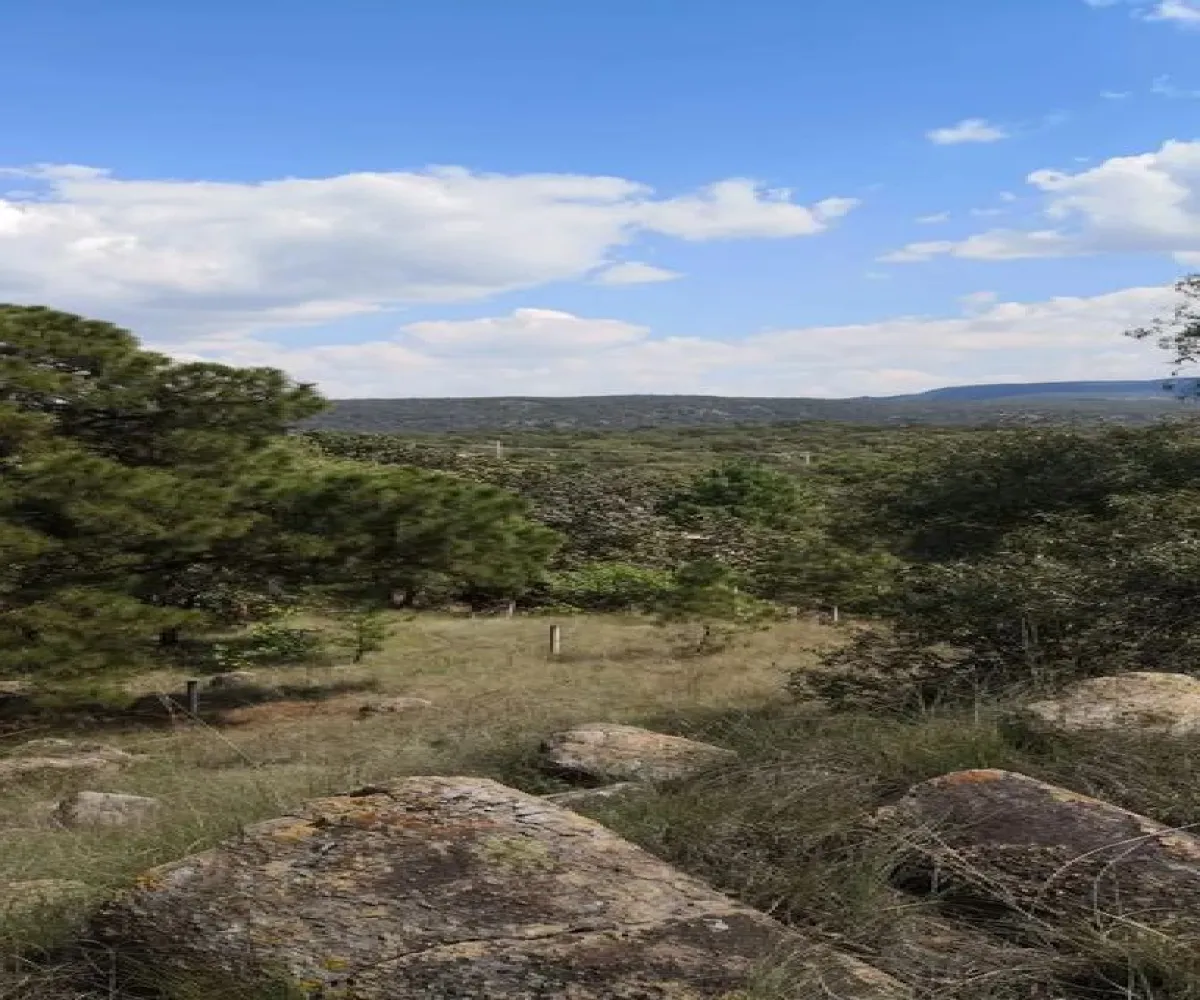 Terreno En Venta,Fraccionamiento El Roble,kilometro 3.5 carretera Guadalajara Ameca S/N, El Arenal, Jalisco 45226,kilometro 3.5 carretera Guadalajara Ameca,pwikWCm