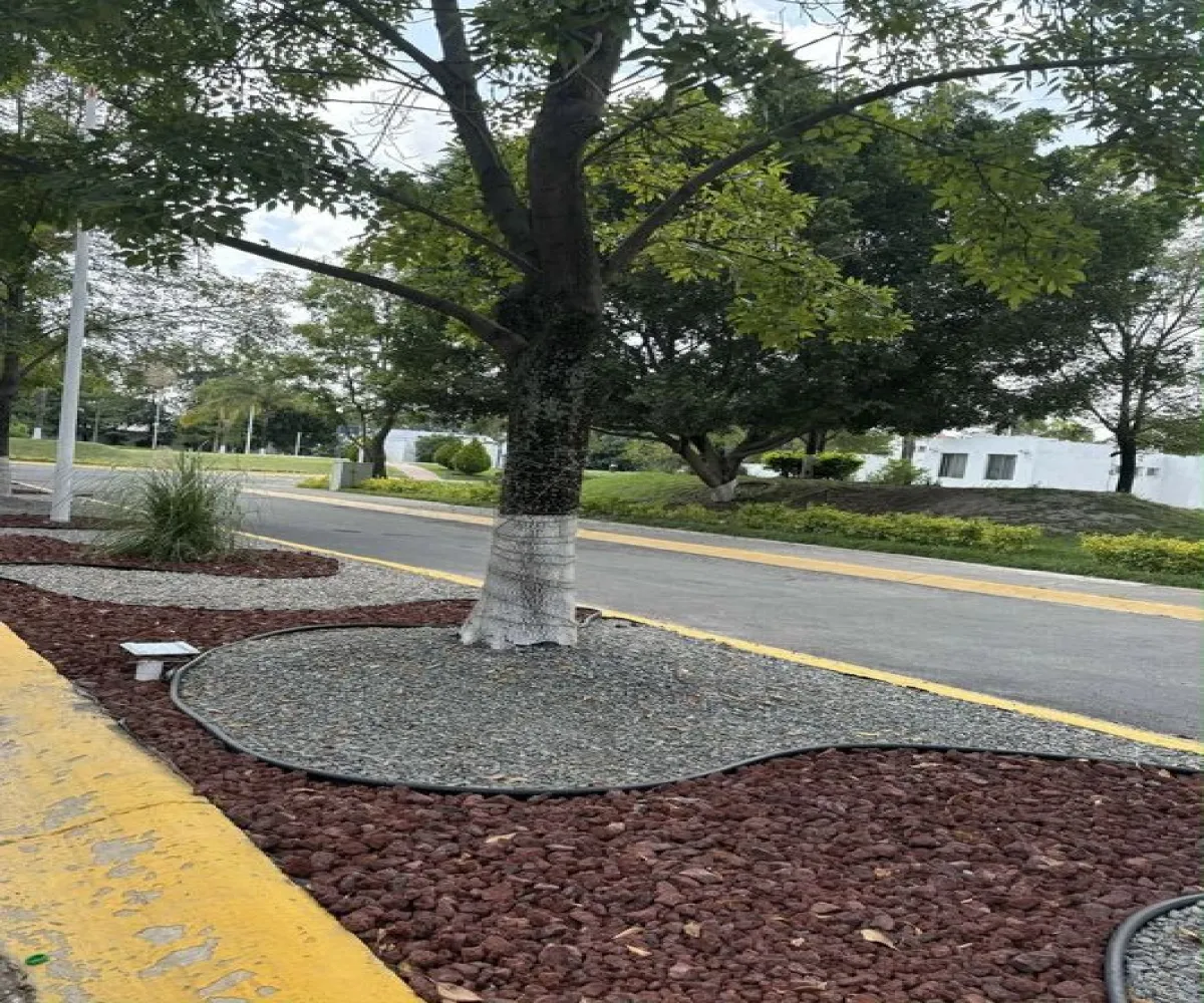 Casa En Venta,Circuito del Abeto 118, Tlajomulco de Zúñiga, Jalisco 45654, 3 Habitaciones,2 Baños,Circuito del Abeto,2,plooy5A