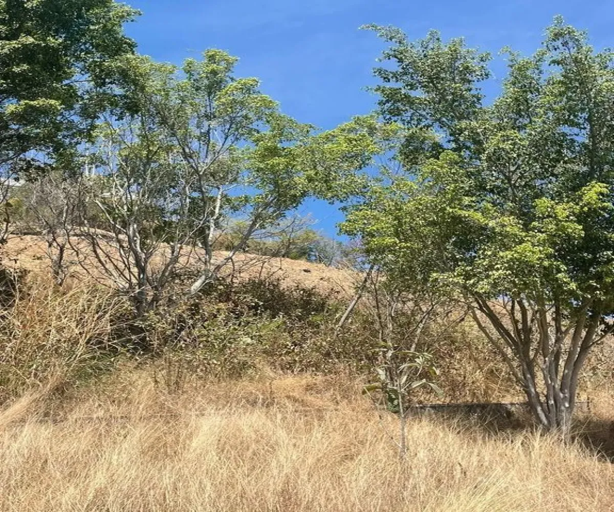 Casa En Venta,Puente Viejo 17, Zapopan, Jalisco 45206, 8 Habitaciones,8 Baños,Puente Viejo,2,pJPBctu Casa En Venta,Puente Viejo 17, Zapopan, Jalisco 45206, 8 Habitaciones,8 Baños,Puente Viejo,2,pJPBctu