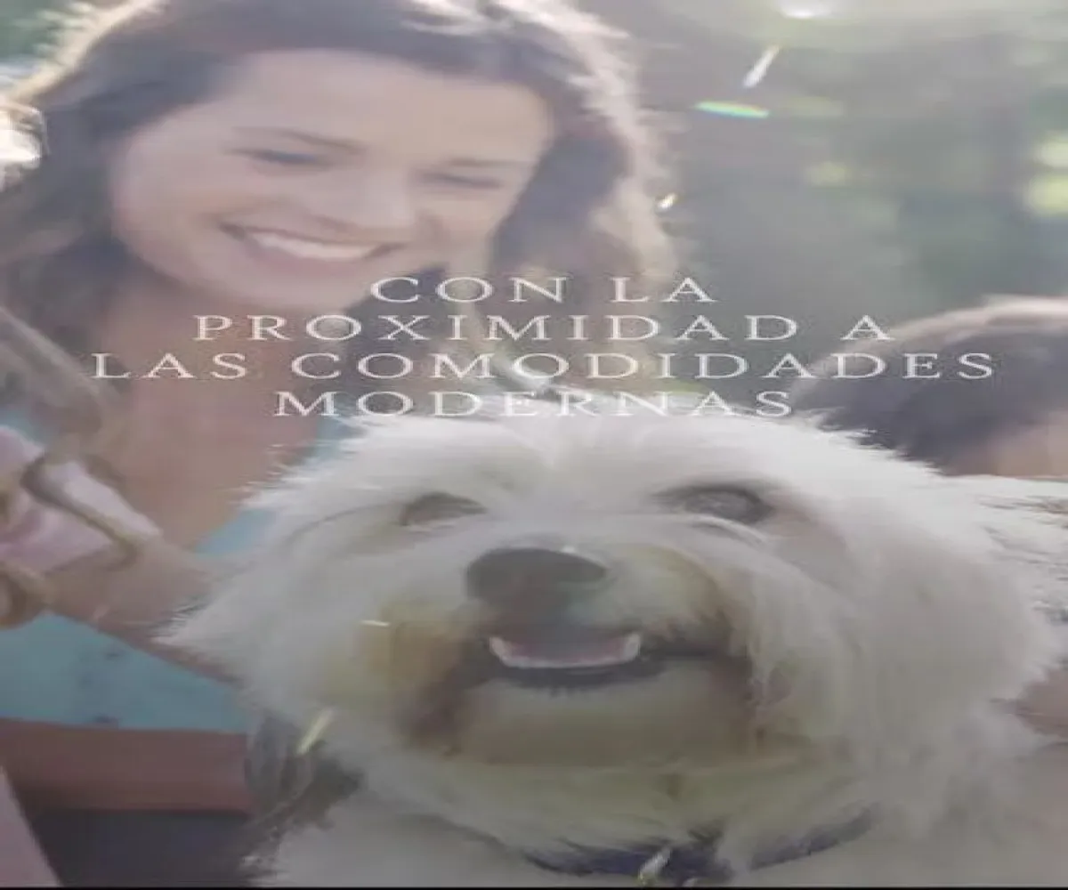 Terreno En Venta,Nueva España,Paseo de Gracia 2000 22, Zapopan, Jalisco 45117,Paseo de Gracia,pj55GUy