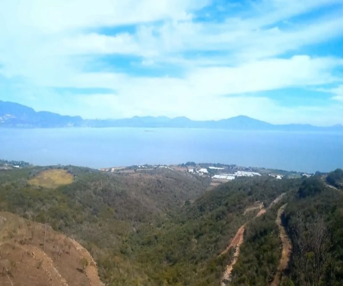 Terreno En Venta,La Cañada,Carretera Guadalajara - Morelia S/N, Zapotlán del Rey, Jalisco 45985,Carretera Guadalajara - Morelia,p3hnuBw