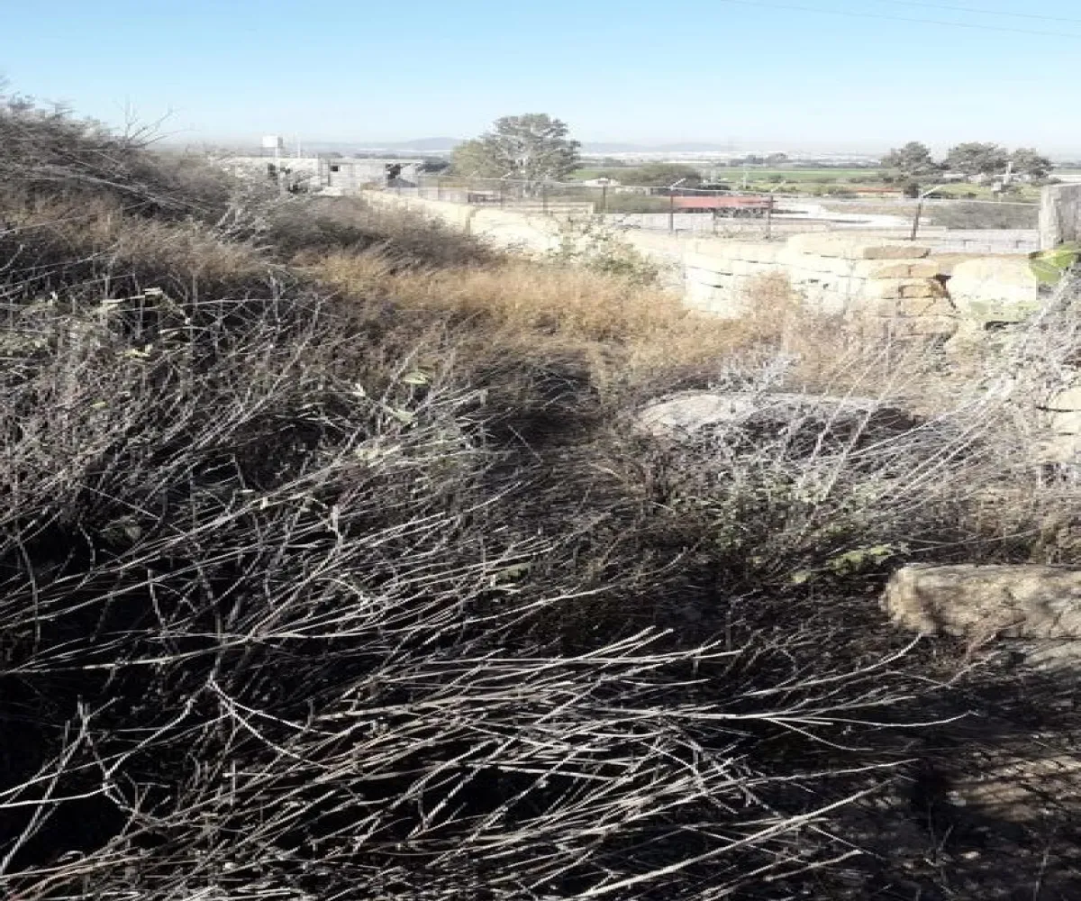 Terreno En Venta,Ejido San Ildefonso,lote 1 S/N, Colón, Querétaro 76295,lote 1,plDd6gM Terreno En Venta,Ejido San Ildefonso,lote 1 S/N, Colón, Querétaro 76295,lote 1,plDd6gM