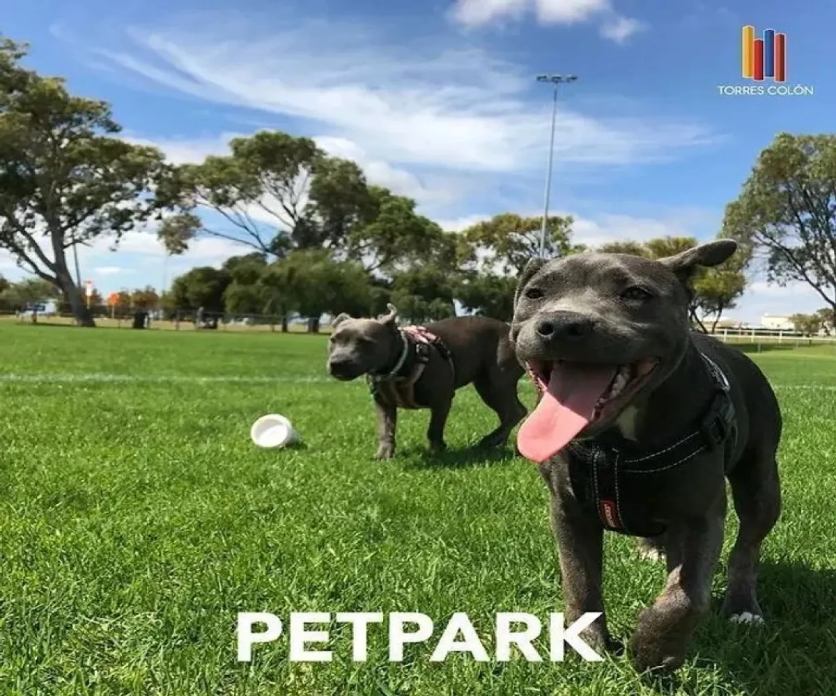 Departamento En Venta,Nueva España,Avenida Cristóbal Colón 4853 1201, Guadalajara, Jalisco 44980, 2 Habitaciones,1 Baño,Avenida Cristóbal Colón,1,p6uKjjR