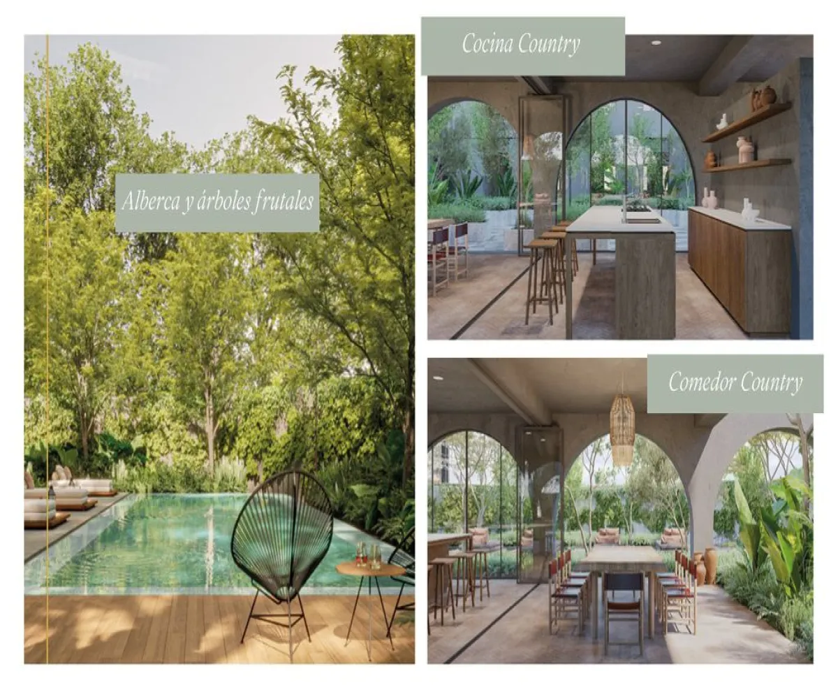 Departamento En Venta,Ayuntamiento,Calle Pedro Antonio Buzeta 1056, Guadalajara, Jalisco 44600, 1 Cuarto,1 Baño,Calle Pedro Antonio Buzeta,1,pod9eiW Departamento En Venta,Ayuntamiento,Calle Pedro Antonio Buzeta 1056, Guadalajara, Jalisco 44600, 1 Cuarto,1 Baño,Calle Pedro Antonio Buzeta,1,pod9eiW