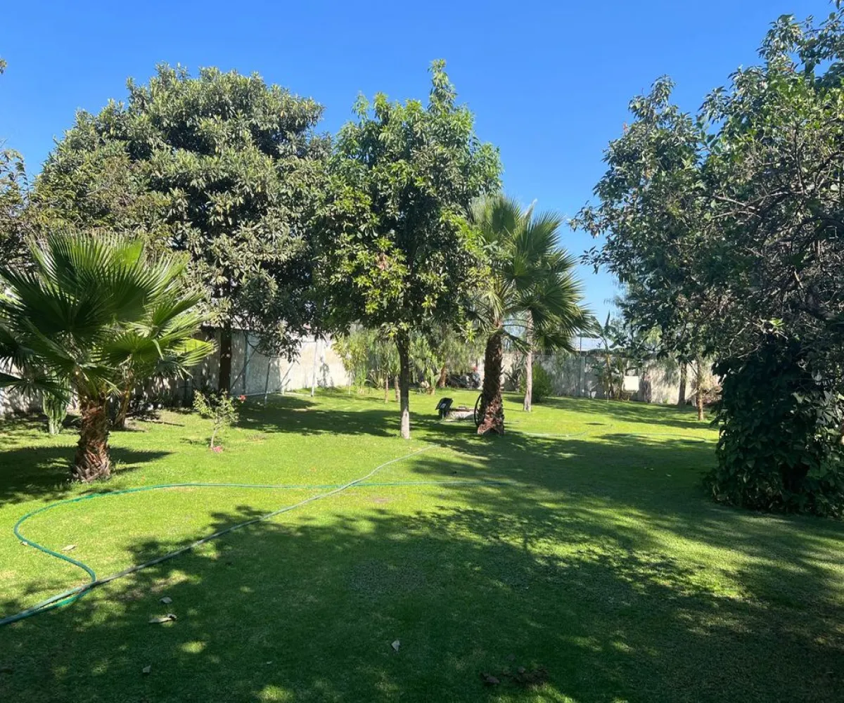 Casa En Venta,Los Pinos ,Lorenzo Barcelata S/N, Zapopan, Jalisco 45239, 4 Habitaciones,4 Baños,Lorenzo Barcelata,1,psPdpmc