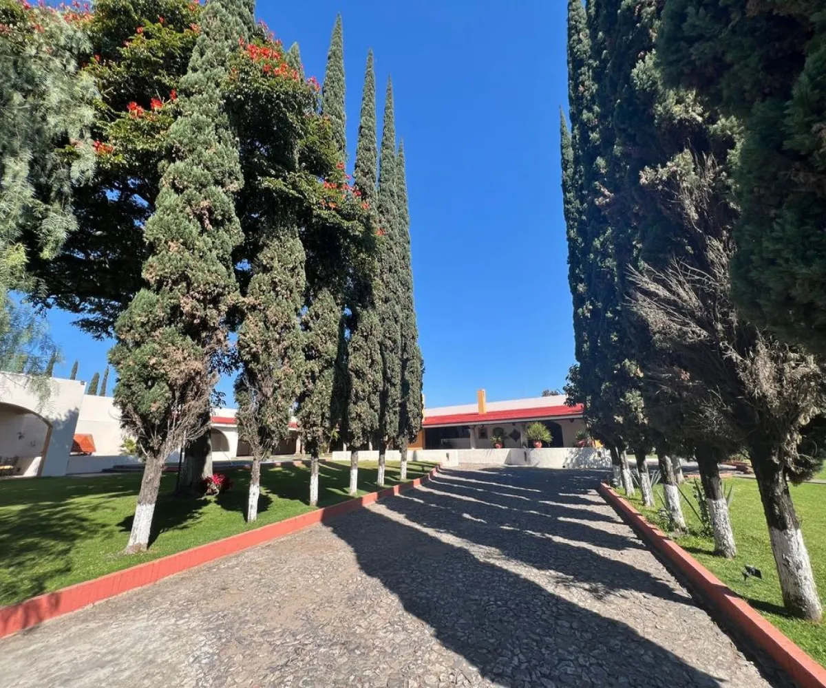 Casa En Venta,Los Pinos ,Lorenzo Barcelata S/N, Zapopan, Jalisco 45239, 4 Habitaciones,4 Baños,Lorenzo Barcelata,1,psPdpmc