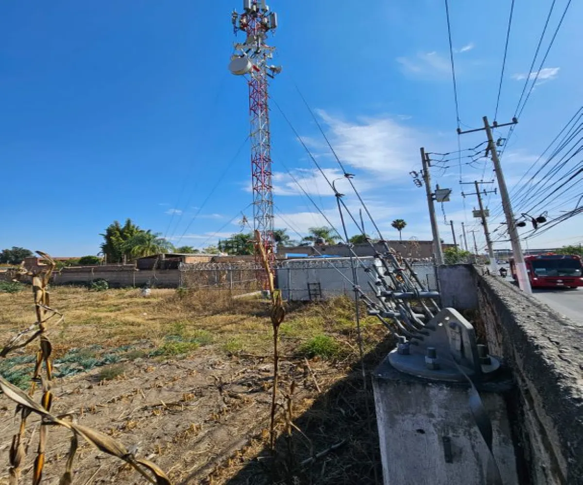 Terreno En Renta,Hidalgo 498, Zapopan, Jalisco 45200,Hidalgo,py6z36e Terreno En Renta,Hidalgo 498, Zapopan, Jalisco 45200,Hidalgo,py6z36e