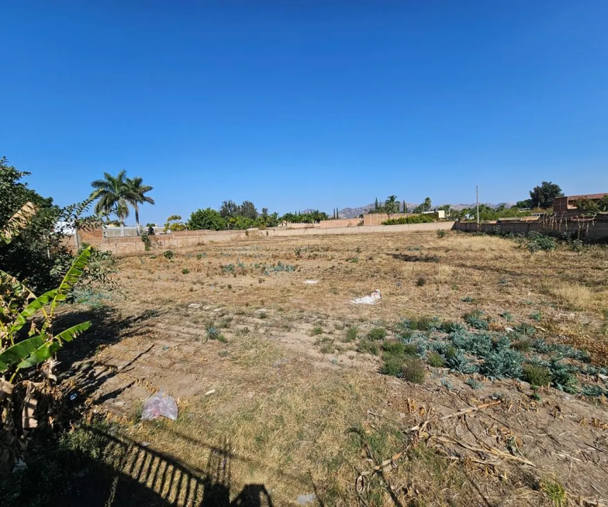Terreno En Renta,Hidalgo 498, Zapopan, Jalisco 45200,Hidalgo,py6z36e Terreno En Renta,Hidalgo 498, Zapopan, Jalisco 45200,Hidalgo,py6z36e