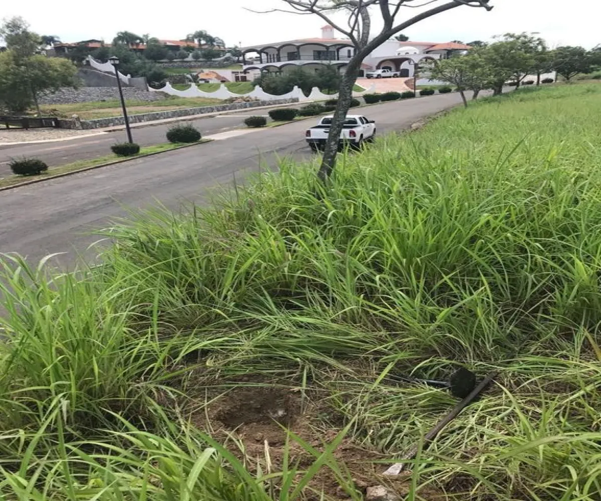 Terreno En Venta,Santa Sofia Country Club, coto Ganadero,Carrera Tepic Km 11 10 Manzana, El Arenal, Jalisco 45350,Carrera Tepic,pjS5WM9 Terreno En Venta,Santa Sofia Country Club, coto Ganadero,Carrera Tepic Km 11 10 Manzana, El Arenal, Jalisco 45350,Carrera Tepic,pjS5WM9