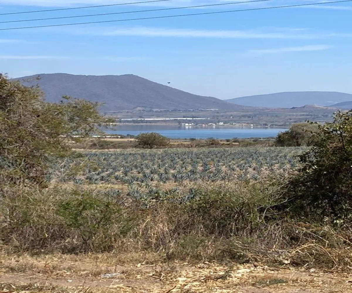 Terreno En Venta,bellavista S/N, Acatlán de Juárez, Jalisco 45720, 3 Habitaciones,2 Baños,bellavista,1,p0Yzq39