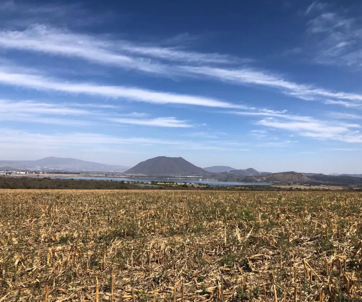 Terreno En Venta,bellavista S/N, Acatlán de Juárez, Jalisco 45720, 3 Habitaciones,2 Baños,bellavista,1,p0Yzq39