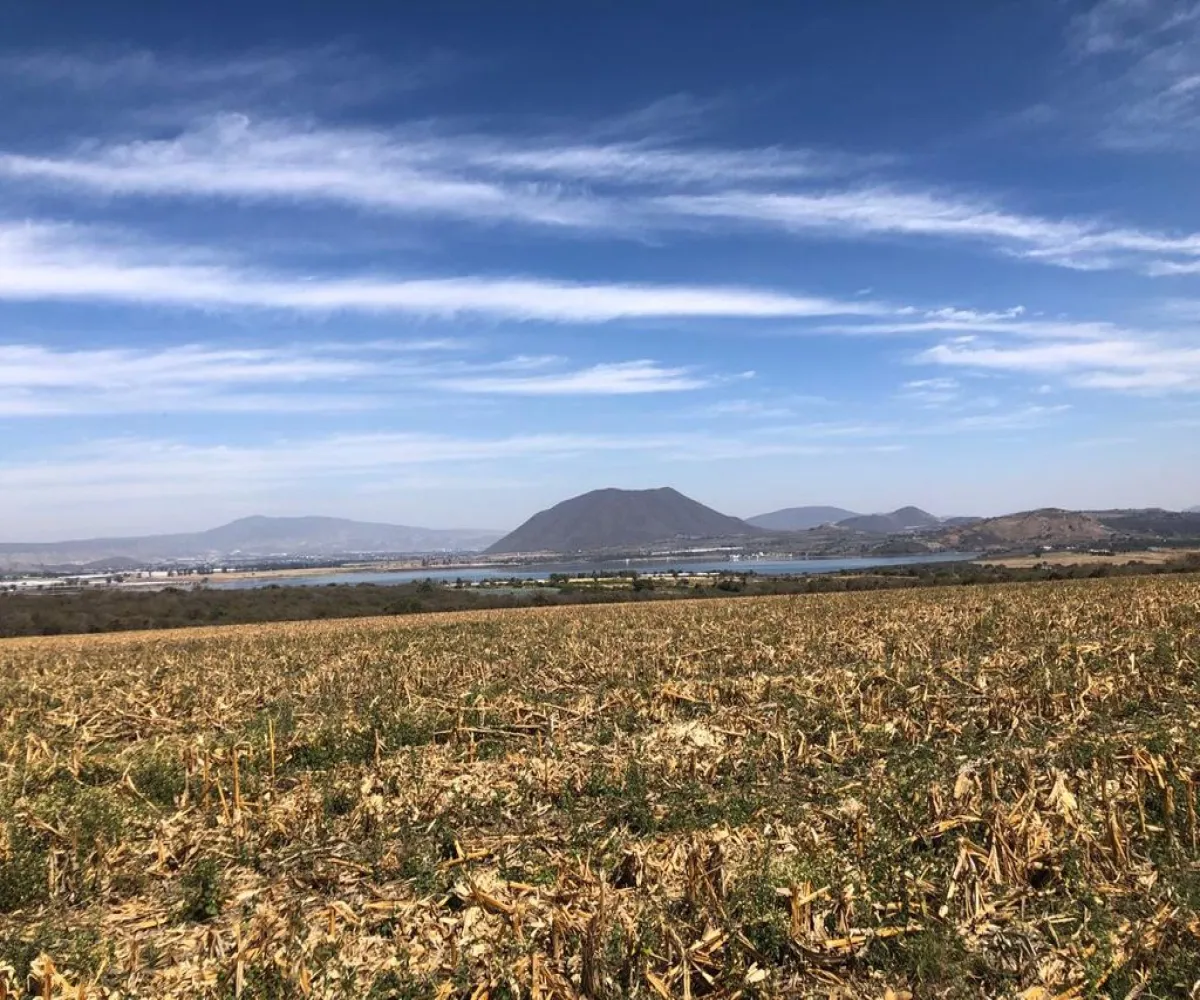 Terreno En Venta,bellavista S/N, Acatlán de Juárez, Jalisco 45720, 3 Habitaciones,2 Baños,bellavista,1,p0Yzq39