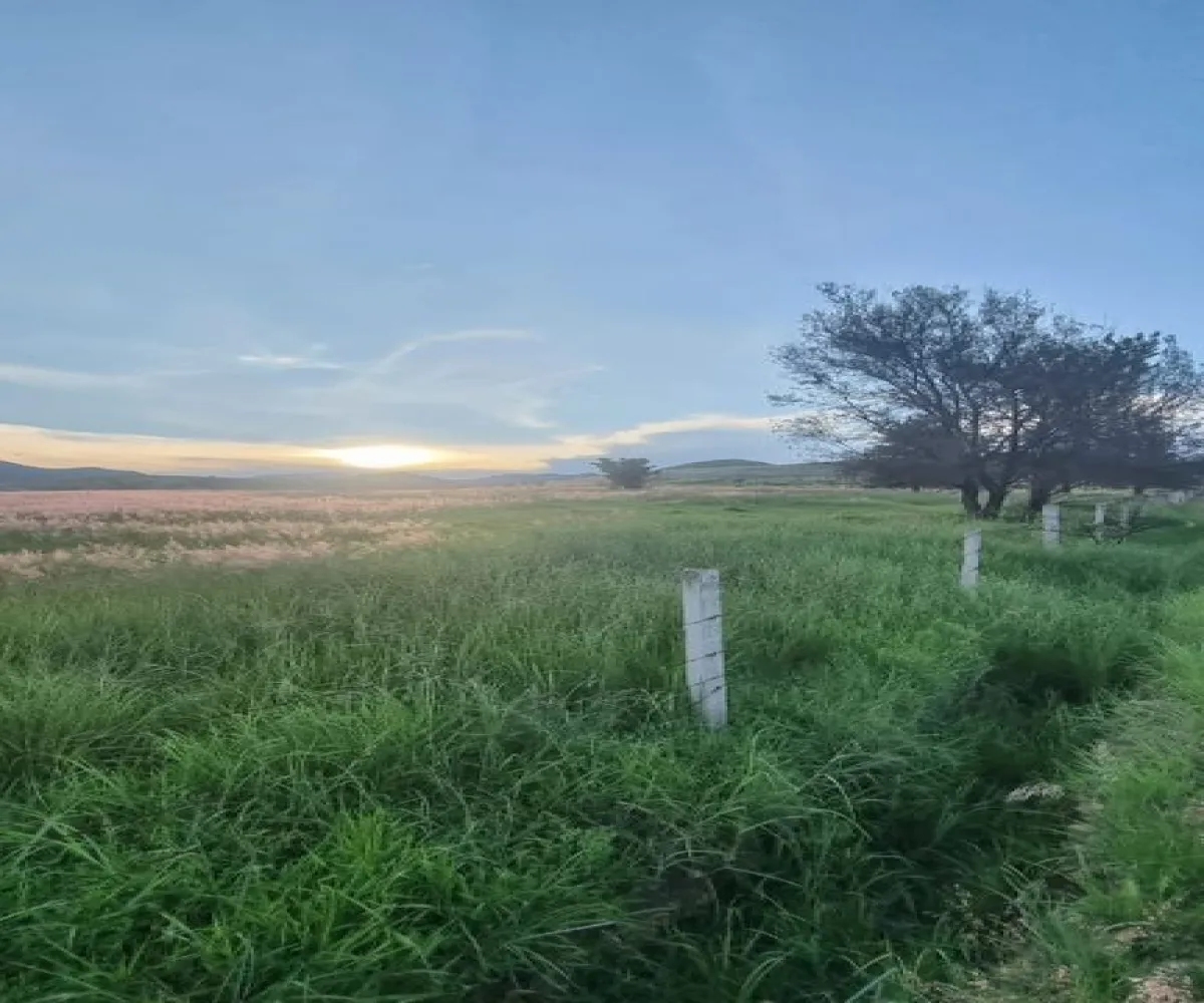 Terreno En Venta,mirador del Bosque,Carretera a Colotlán El Taray, Zapopan, Jalisco 45200,Carretera a Colotlán,pGrgEhd Terreno En Venta,mirador del Bosque,Carretera a Colotlán El Taray, Zapopan, Jalisco 45200,Carretera a Colotlán,pGrgEhd