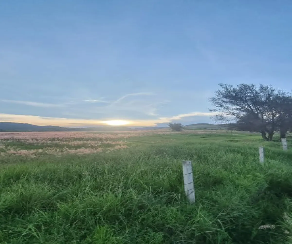 Terreno En Venta,mirador del Bosque,Carretera a Colotlán El Taray, Zapopan, Jalisco 45200,Carretera a Colotlán,pGrgEhd Terreno En Venta,mirador del Bosque,Carretera a Colotlán El Taray, Zapopan, Jalisco 45200,Carretera a Colotlán,pGrgEhd