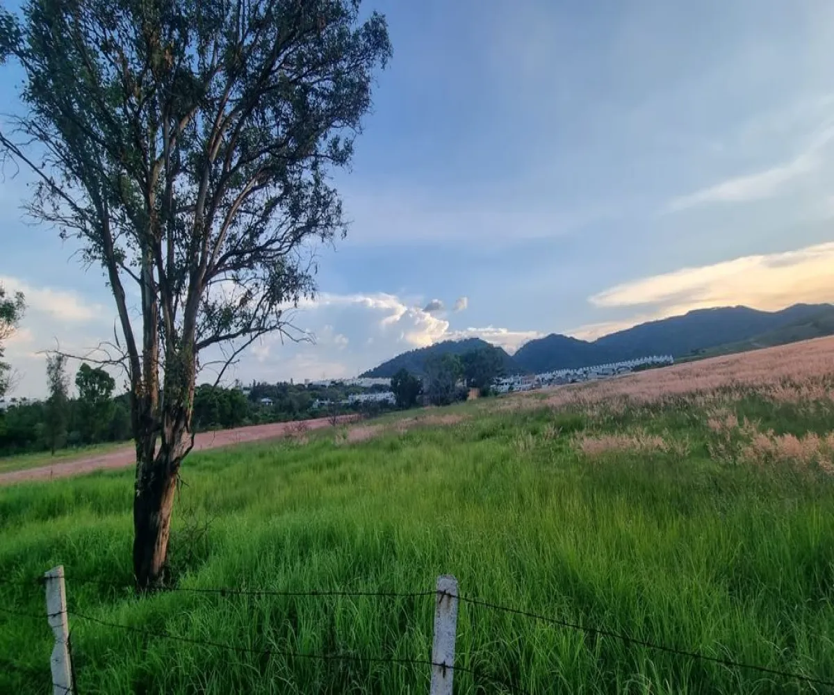 Terreno En Venta,mirador del Bosque,Carretera a Colotlán El Taray, Zapopan, Jalisco 45200,Carretera a Colotlán,pGrgEhd Terreno En Venta,mirador del Bosque,Carretera a Colotlán El Taray, Zapopan, Jalisco 45200,Carretera a Colotlán,pGrgEhd