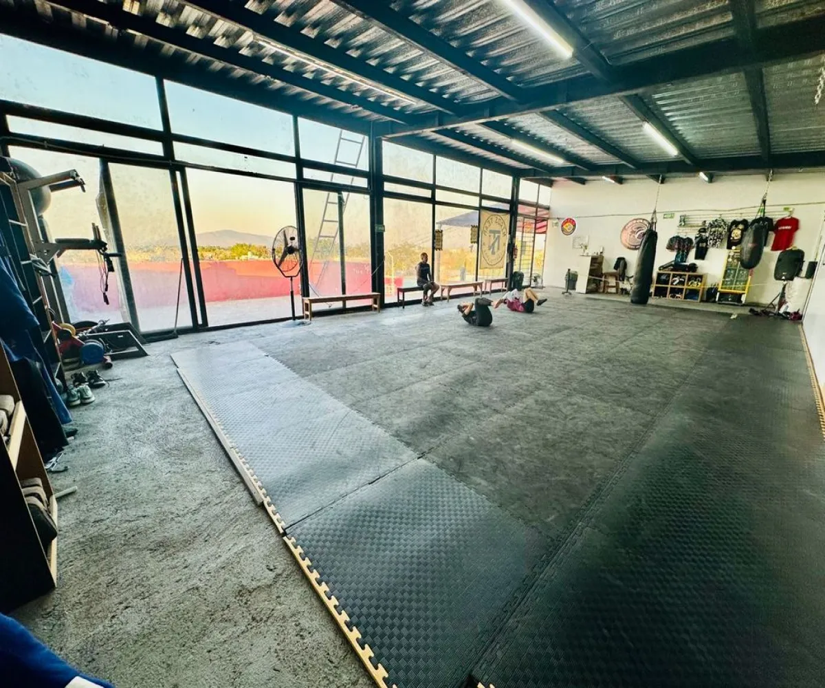 Local En Venta,Insurgentes,Avenida Manuel Román Alatorre 4012, Guadalajara, Jalisco 44820,1 Baño,Avenida Manuel Román Alatorre,1,pz90rOy Local En Venta,Insurgentes,Avenida Manuel Román Alatorre 4012, Guadalajara, Jalisco 44820,1 Baño,Avenida Manuel Román Alatorre,1,pz90rOy