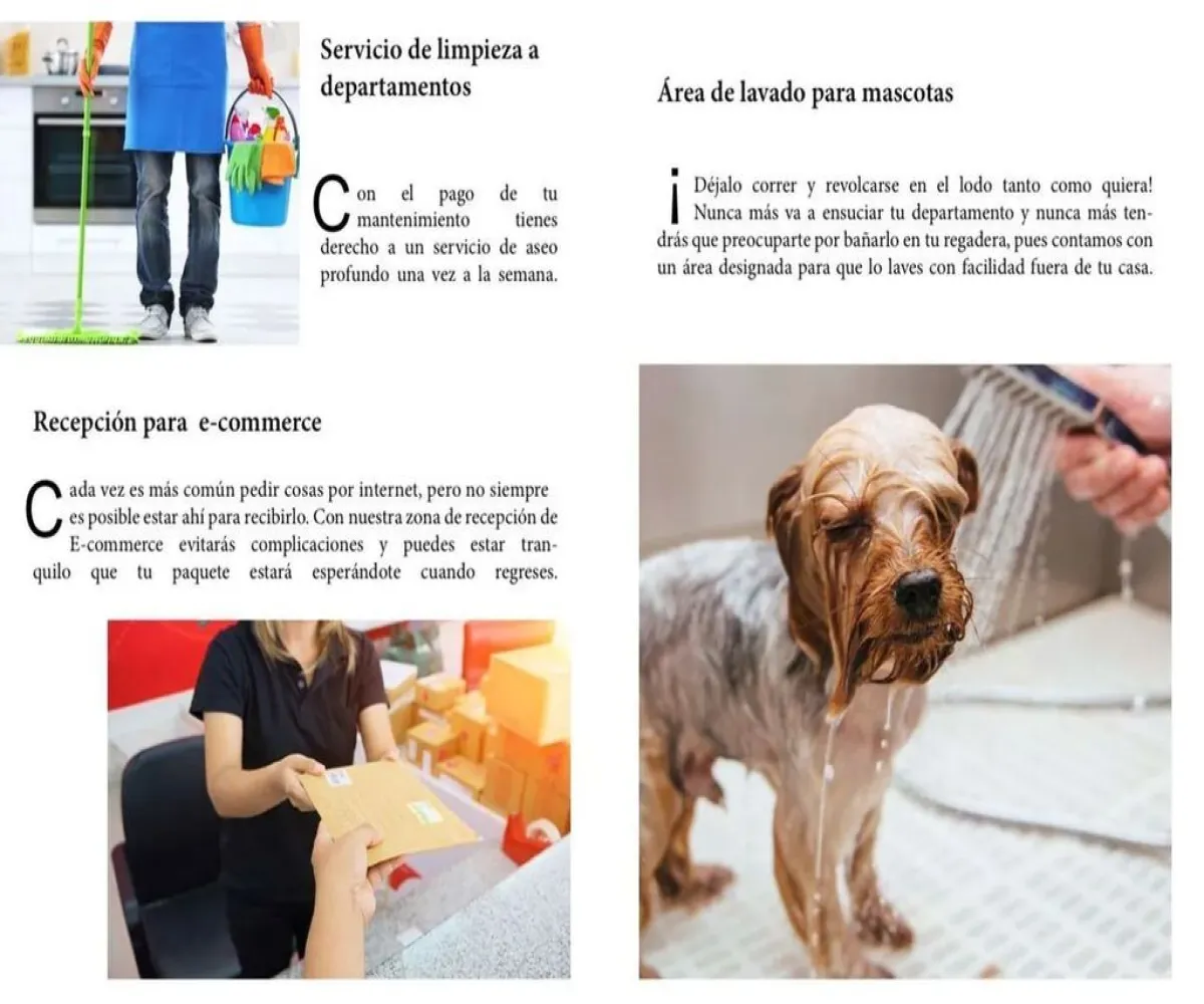 Departamento En Venta,Roma Norte,Salamanca 11 803R, Cuauhtémoc, Ciudad de México 06700, 1 Cuarto,1 Baño,Salamanca,1,pZty90O