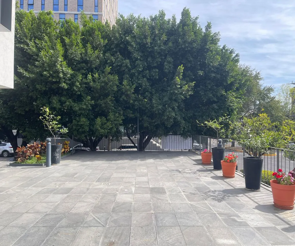 Local En Renta,Ladron De Guevara,Calle Tomás V. Gómez 111 2, Guadalajara, Jalisco 44130,Calle Tomás V. Gómez,1,pataoJL