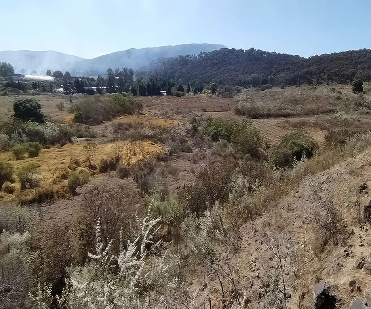 Terreno En Renta,El Bajío,Avenida Circunvalación del Bosque 80, Zapopan, Jalisco 45019,Avenida Circunvalación del Bosque,pFBYoR1